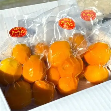 【数量限定・瞬間冷凍】仲本マンゴー園の完熟ミニマンゴー300g～400g×3袋【配送不可地域：離島】【1664971】