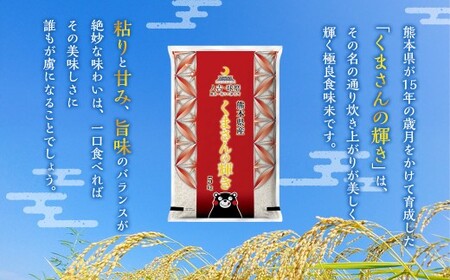 【令和7年産】熊本県球磨地域産 くまさんの輝き 2kg ／ 米 お米 精米 白米 ご飯 ごはん 国産 常温 熊本県 湯前町