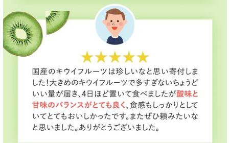 わけあり キウイ 10kg+250g（傷み補償分）扁平果 / 和歌山 家庭用 フルーツ 果物 くだもの ※2026年11月中旬より2027年4月下旬頃順次発送予定 ※北海道・沖縄・離島配送不可 【ikd716】