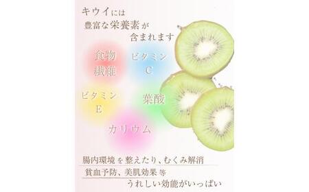 厳選 キウイ 7.5kg+250g（傷み補償分）【扁平果】 / 和歌山 フルーツ 果物 くだもの ※2026年11月中旬より2027年4月下旬頃順次発送予定 ※北海道・沖縄・離島配送不可 【ikd713】