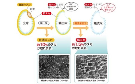 子育て応援米 【令和7年産】 奈義町産米 BG無洗米 あきたこまち 10kg （5kg×2袋） 【窒素充填包装】  10キロ お米 米 無洗米 国産 岡山県 奈義町
