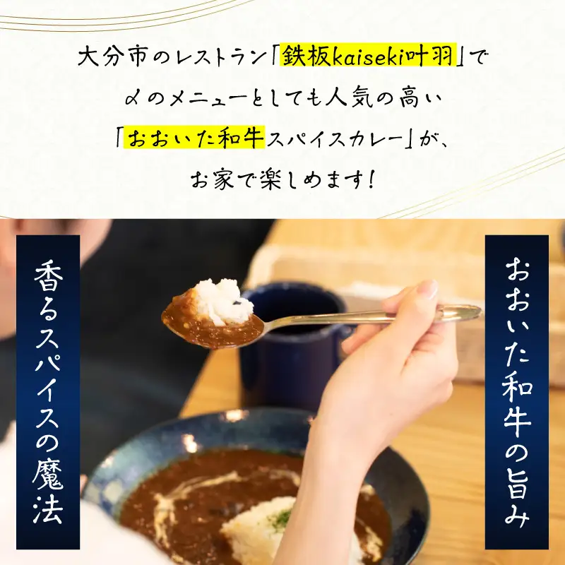おおいた和牛 スパイスカレー 2袋 K03037
