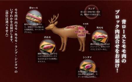 森のジビエ  鹿肉 ブロック おまかせ詰合せ2㎏ A-JJ-A23A