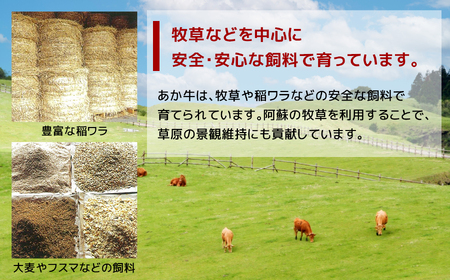 【定期便 12回】あか牛 白 ホルモン 計500g (250g×2P) | 肉 にく お肉 おにく 牛 あか牛 ホルモン 白ホルモン 熊本県 玉名市 定期 定期便