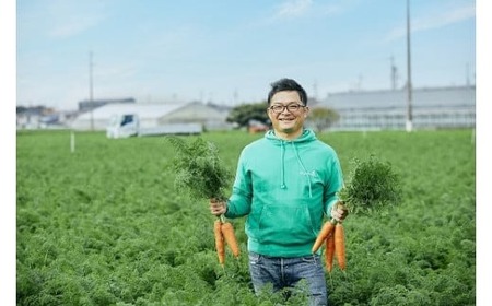 【予約受付】＜フジテレビ『どっちのふるさと？』で紹介されました！＞【期間限定】訳あり！こどもも食べられる甘み！「マドンナキャロット」 10kg 甘い 大容量 やさしい にんじん 人参 ニンジン 野菜 やさい 国産 碧南市 健康 食品ロス削減 甘い 先行予約 旬 特産 高評価 高リピート 人気 2026年度発送 H105-200