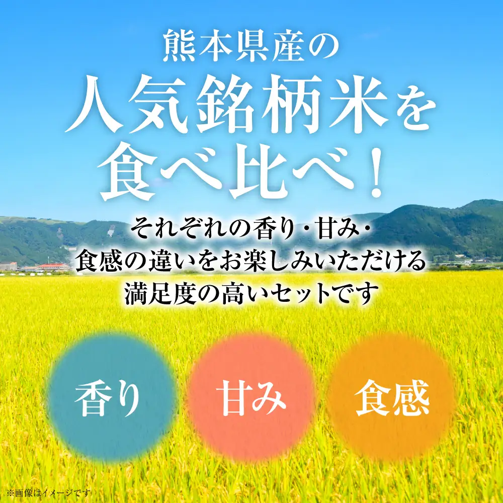 【令和7年産】 熊本県産 食べ比べセット (ひのひかり・森のくまさん・くまさんの輝き) 合計15kg (5kg×3袋) 米 お米 精米 白米 ごはん ご飯 熊本