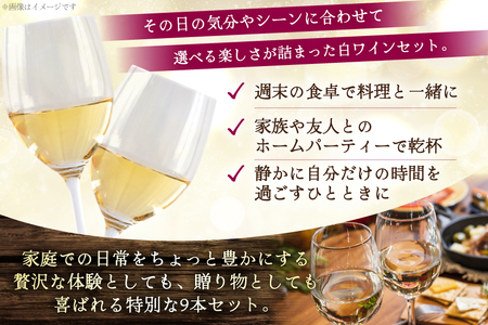 ワイン 白ワイン好き必見！お得な白ワイン9本 飲み比べセット 750ml×8本 720ml×1本 [株式会社まあめいく 山梨県 韮崎市 20745324] 