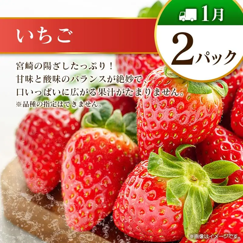 【奇数月 6回定期便】旬 人気 フルーツ 南国宮崎産 マンゴー ピオーネ いちご みかん メロン 日向夏 柑橘 ぶどう 果物 詰め合わせ 宮崎県 九州＜C-1コース M310＞