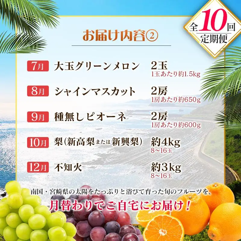 【10回定期便】旬 人気 フルーツ 南国宮崎産 太陽のタマゴ 金柑たまたまエクセレント シャインマスカット ピオーネ いちご みかん 梨 メロン 柑橘 マンゴー きんかん たまたま ぶどう 果物 詰め合わせ 宮崎県 九州＜E-1コース M500＞