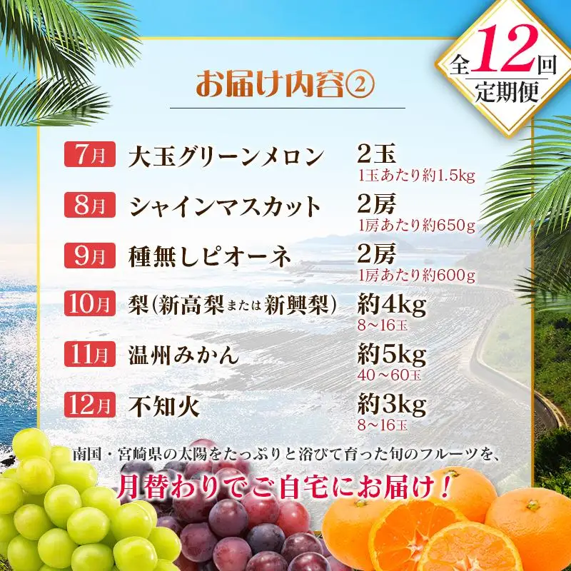 【12回定期便】旬 人気 フルーツ 南国宮崎産 太陽のタマゴ たまたまエクセレント シャインマスカット ピオーネ いちご みかん 日向夏 メロン 梨 柑橘 完熟 マンゴー きんかん たまたま ぶどう 果物 詰め合わせ 宮崎県 九州 1年 毎月お届け＜Aコース M100＞