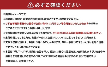 ぶどう 2026年 先行予約 ニュー ピオーネ 3～4房 合計2kg以上 【2026年8月下旬発送予定】 ／ ブドウ 葡萄 ニューピオーネ 岡山県産 国産 フルーツ 果物 ギフト 河本農園 岡山県 美咲町 冷蔵