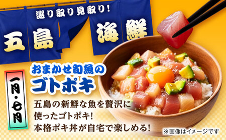 【12回定期便】五島のお魚！満喫定期便（2人前）/五島市[PZX054]