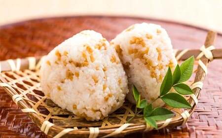 減塩 味付け 極しょうが 110g×4袋 計440g ふりかけ ご飯のお供 酢しょうが おかず生姜