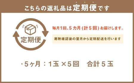 【5ヶ月定期便】 訳あり 静岡県産 アローマメロン 1玉 （1玉 約1.0kg以上） （合計5玉） 5回定期便 訳アリ 理由あり わけあり メロン 青肉メロン ブランドメロン 果物 果実 フルーツ 定期便 静岡県 菊川市 常温