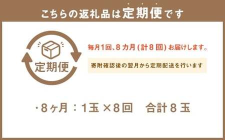 【8ヶ月定期便】 訳あり 静岡県産 アローマメロン 1玉 （1玉 約1.0kg以上） （合計8玉） 8回定期便 訳アリ 理由あり わけあり メロン 青肉メロン ブランドメロン 果物 果実 フルーツ 定期便 静岡県 菊川市 常温