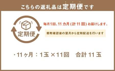 【11ヶ月定期便】 訳あり 静岡県産 アローマメロン 1玉 （1玉 約1.0kg以上） （合計11玉） 11回定期便 訳アリ 理由あり わけあり メロン 青肉メロン ブランドメロン 果物 果実 フルーツ 定期便 静岡県 菊川市 常温