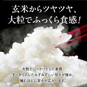【令和8年度産】 先行予約 近江米『きらみずき』　化学肥料不使用米　5キロ×6回 偶数月お届け定期便（鮮度保持袋） DT-0009Tn