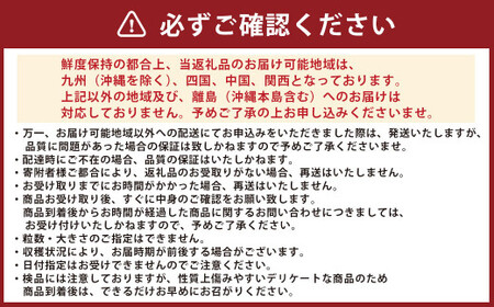 熊本県産 ブラックジャック （高級西瓜） 約5kg 1玉 スイカ すいか 西瓜 フルーツ 果物 くだもの 熊本 国産  【2026年5月下旬発送開始】