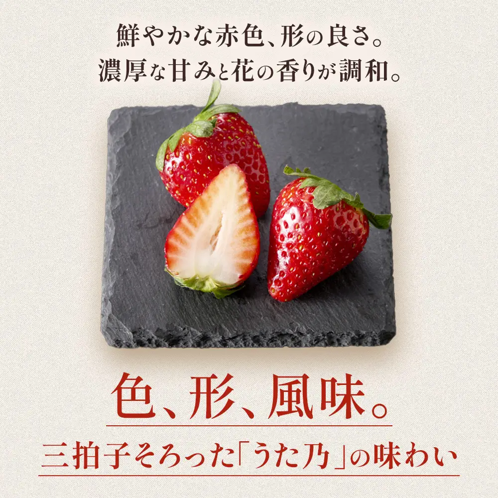 いちご【26年3～5月発送】うた乃 2パック×250g 完熟いちご