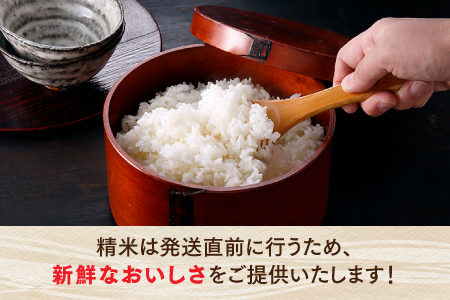 AB470.立花山で育てた九州のブランド米・3.75キロ【二升五合（ますますはんじょう）】