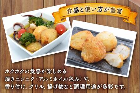 野菜 にんにく ジャンボにんにく 約2kg 【期間限定発送】 [しげさん農園 長崎県 平戸市 hr42bgy420076]