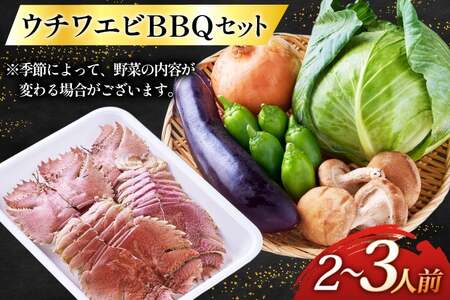 バーベキュー 海鮮 ウチワエビ BBQ セット 安心の地元 野菜付 2～3人前 [ひらど新鮮市場 長崎県 平戸市 hr42bgy400174]