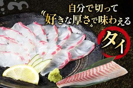 魚 刺身 刺身用 ブロック 3種 12回 定期便 総計 約14.4kg [百旬館 長崎県 平戸市 hr42bhb460014]