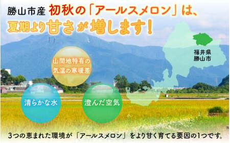 【令和8年産 先行予約】　若猪野アールスメロン 1.7kg 以上 1玉 箱入り ※2026年8月下旬より順次発送 [A-011013] 