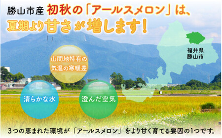 【令和8年産　先行予約】若猪野アールスメロン 1.7kg 以上 2玉 箱入り ※2026年8月下旬より順次発送 [A-011014]