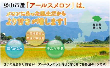 【令和8年産　先行予約】若猪野アールスメロン 2kg 以上 3玉 箱入り ※2026年8月下旬より順次発送 [A-011015]