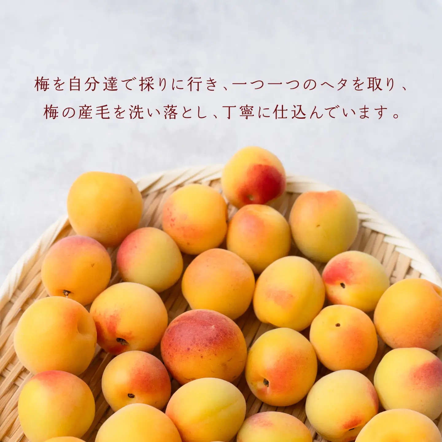 八戸酒類 八鶴 んめ～梅酒 500ml 1本 豊後梅 使用 日本酒 漬け込み 青森県 八戸市