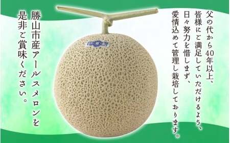 【令和8年産　先行予約・数量限定！】令和８年産　若猪野アールスメロン 1.6kg 以上 (赤肉・青肉各１玉）合計 2玉 箱入り ※2026年７月下旬より順次発送 [A-011016] 