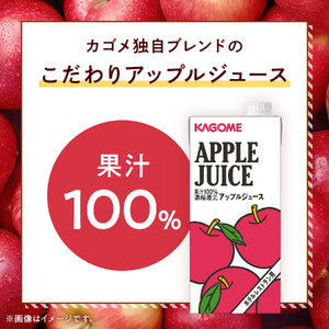 カゴメ アップルジュース ホテルレストラン用 1L 紙パック 12本入 [h172]
