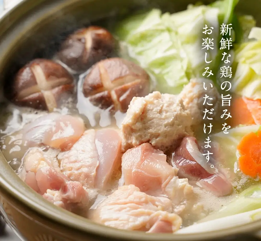 福岡限定！はかた地どり水炊きセット 3～4人前 はかた地どり 地鶏 郷土料理 筑前煮 水炊き お手軽 簡単 福岡県 八女市 214-049