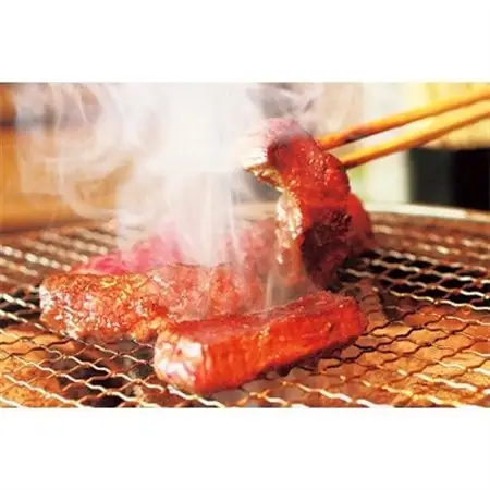 但馬牛　焼肉用(霜降り部位)500g【配送不可地域：離島】【1615681】