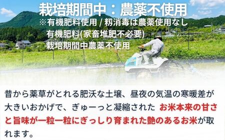 特別栽培米 ＜令和7年産 玄米 20kg＞ / ふるさと納税 栽培期間中農薬不使用 米 お米 こめ コメ 国産 新米 玄米 農家やまおか 奈良県 宇陀市
