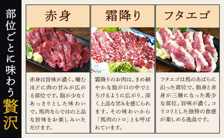 馬刺し 5種 盛り合わせ セット 計250g 5人前 熊本直送 赤身 霜降り フタエゴ バラヒモ コーネ 株式会社Foody’s《30日以内に出荷予定(土日祝除く)》熊本県 菊池市 馬刺し 馬肉 肉 お肉