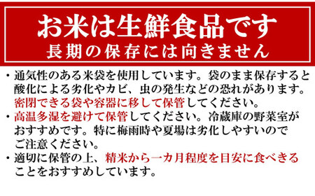 【12ヶ月定期便】甘味の強いプレミアム米 新潟県認証特別栽培米 新之助 白米 5kg×12回（計 60kg）アグリーホンマ[Y0378]