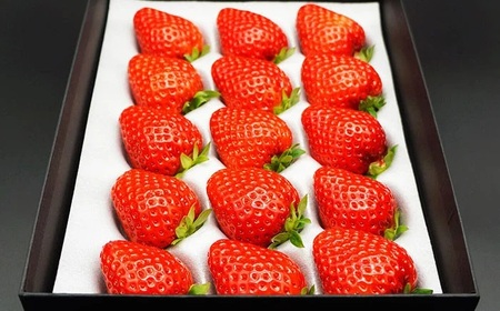 最高級ベリーバード 『絆』【期間･数量限定】_T2600406