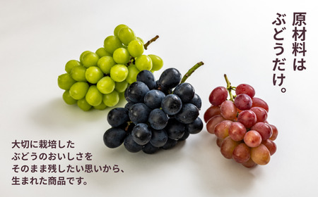TK26 ぶどう 冷凍スペシャルパウチ リアル100％ Sサイズ（45g） 5個 // 長野県 南信州 冷凍フルーツ 冷凍パウチ パウチ シャーベット スムージー 無添加 無加糖 無加水 葡萄 シャインマスカット ナガノパープル クインルージュ®