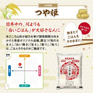 SM0051　【5回定期便】令和7年産 ［精米］特別栽培米つや姫　 5kg×5回(計25kg)