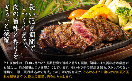 黒毛和牛とちぎ和牛厚切りサーロイン800g A4～A5等級霜降り赤身ステーキ極上牛肉《30日以内に出荷予定(土日祝除く)》 