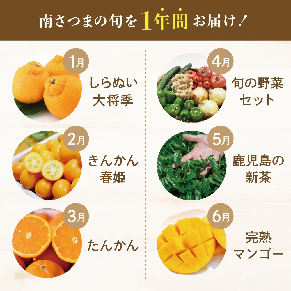 【定期便】南国の恵み 旬のフルーツ・野菜定期便（全12回） 鹿児島県産 果物 フルーツ 柑橘 みかん 野菜 お茶 米 お米 コシヒカリ ぶどう シャインマスカット マンゴー メロン 定期便