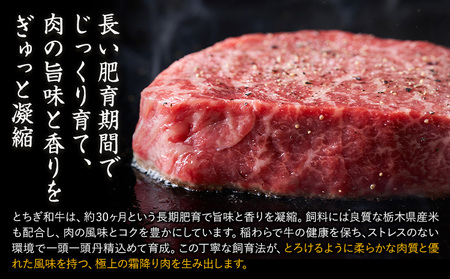 黒毛和牛 とちぎ和牛 厚切り ヒレ フィレ A4～A5等級 霜降り 赤身 ステーキ 極上 600g 数量限定 牛肉 冷凍 《30日以内に出荷予定(土日祝除く)》 冷凍庫 個別 以内 ブランド牛