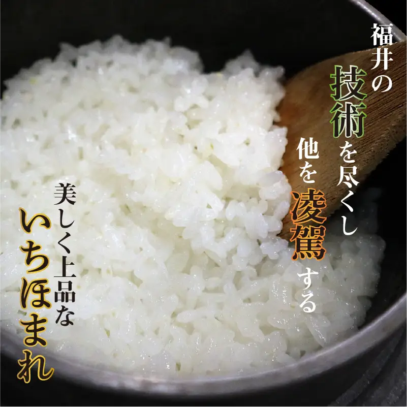 【令和7年産】 さんさん池見二代目がお届けする 福井県産いちほまれ 2kg (玄米) [A-0262_04]
