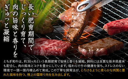 黒毛和牛 とちぎ和牛 特上 ロース 焼肉 切り落とし A4～A5等級 霜降り 赤身 極上 400g 数量限定 牛肉 冷凍 《30日以内に出荷予定(土日祝除く)》 冷凍庫 個別 1kg以内 ブランド牛