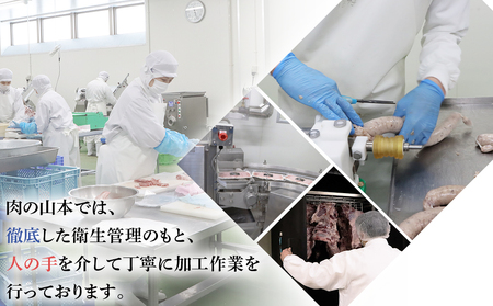 北海道産 牛霜降り ハンバーグ 6個セット