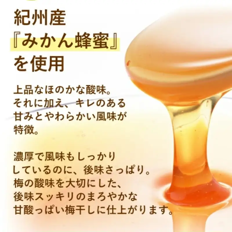 紀州南高梅 やわらか干し梅 はちみつ入り 176g（88g×2）個包装 / 和歌山 和歌山県産 田辺市 南高梅 干し梅 種なし はちみつ干し梅 柔らかい干し梅 個包装【nag002】