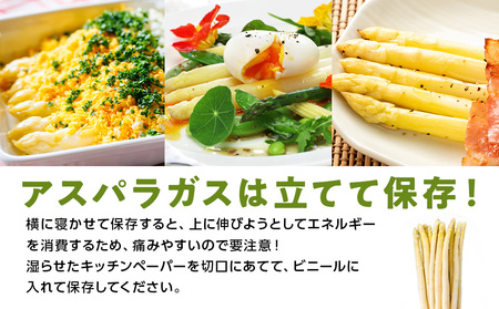 【2026年春発送】 ホワイトアスパラ 900g M～2L アスパラ アスパラガス 野菜 千歳 北海道