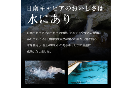 キャビアフィッシュ スモーク 50g 日南 キャビア 4g 黄金 セット 燻製 加工品 魚介 魚貝 魚卵 海産物 食品 国産 世界三大珍味 黒いダイヤ 希少 贅沢 おつまみ おすすめ 高級食材 人気 お祝 おもてなし お取り寄せ グルメ 特産品 宮崎県 日南市 送料無料_BB117-23